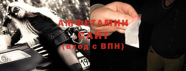 СК Алексин