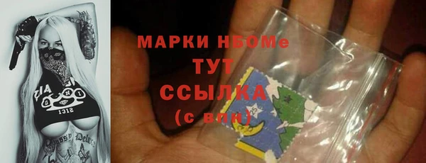СК Алексин