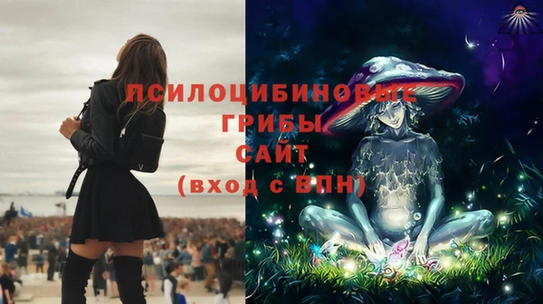 СК Алексин