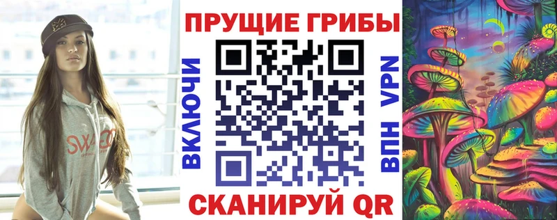 Псилоцибиновые грибы Cubensis  Буй 